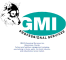 gmi professional services.png